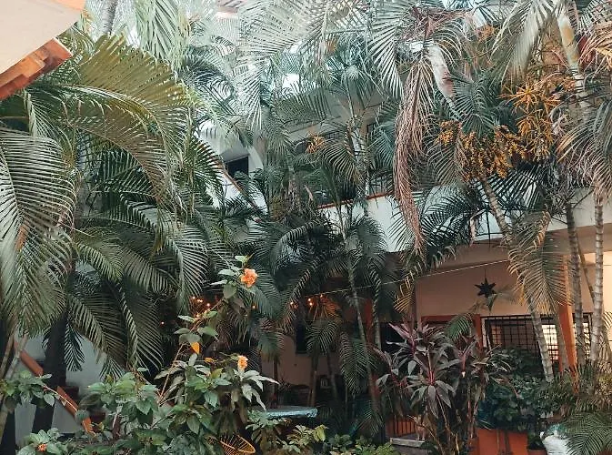 Hotel Villa Tulipanes