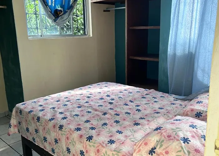 Departamento Palapas