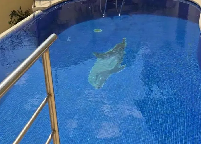 Isbel Vacation Home In Ixtapa Zihuatanejo