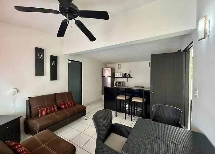 Apartment In Zihuatanejo Centro